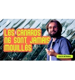 Les canards ne sont jamais mouillés - Benjamin Peterschmitt - MP3 