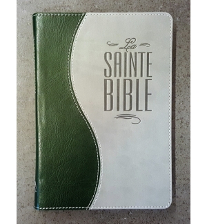 Bible Segond 1910 - Duo vert et gris