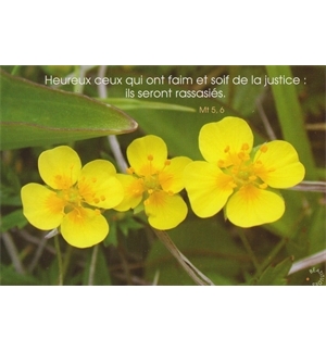 carte divers avec verset