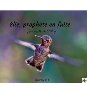 Elie, prophète en fuite - Jean-Marie Ribay - CD ou DVD