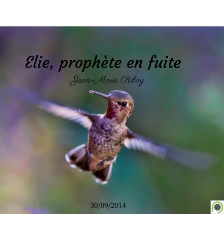 Elie, prophète en fuite - Jean-Marie Ribay - CD ou DVD