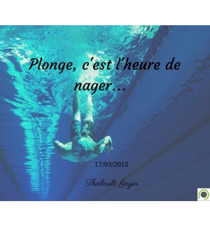 Plonge, c'est l'heure de nager… - Thiebault Geyer - CD ou DVD