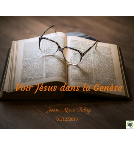 Voir Jésus dans la Genèse - Jean-Marie Ribay - CD ou DVD
