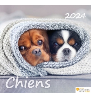 Calendrier chiens 2024 - A poser - 12 photos couleurs avec versets