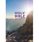 Holy Bible NIV - Bible cartonnée, petit format