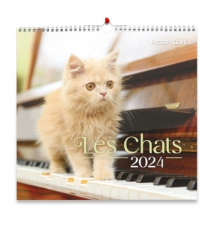 Calendrier 2024- Nos amis les chats (grand format)
