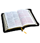 La Sainte Bible - Louis segond 21 - Paroles de Jésus en rouge