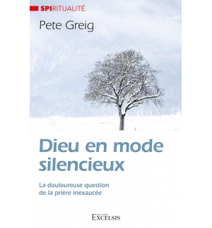 Dieu en mode silencieux - Pete Greig