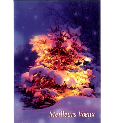 Carte meilleurs voeux