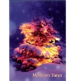 Carte meilleurs voeux