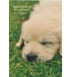 Carte "Divers" avec verset