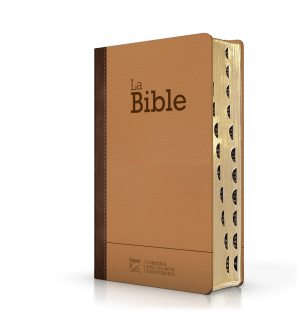 Bible Segond 21 compacte (Premium Style) couverture semi-rigide duo cuir praliné