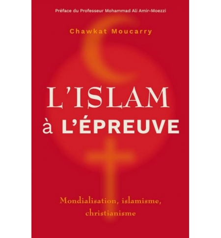 L'islam à l'épreuve Mondialisation, islamisme, christianisme