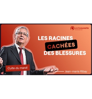 Les racines cachées des blessures - Jean-Marie Ribay MP3