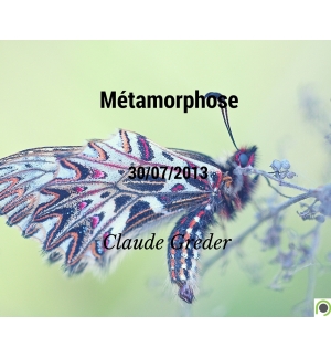 Métamorphose - Claude Greder - CD ou DVD