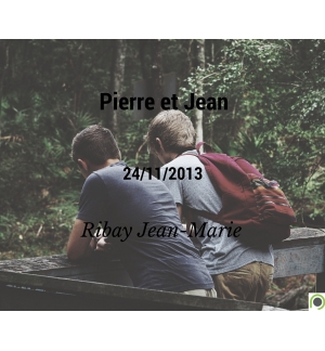 Pierre et Jean - Jean-Marie Ribay - CD ou DVD