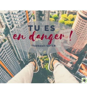 Tu es en Danger !  - Thiebault Geyer MP3