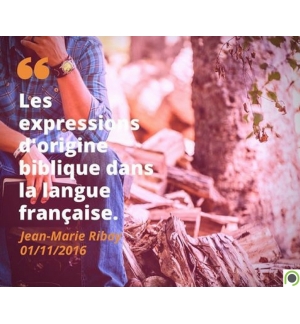 Les expressions d'origine biblique dans la langue française  - Jean-Marie Ribay
