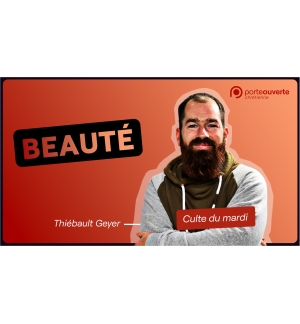 Beauté - Thiébault Geyer MP3